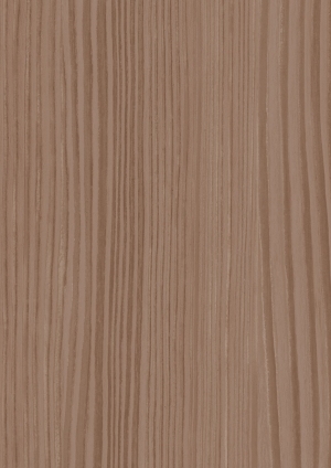 ModernWood Texture