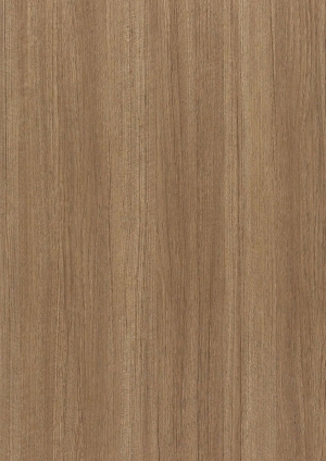 ModernWood Texture