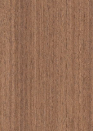 ModernWood Texture
