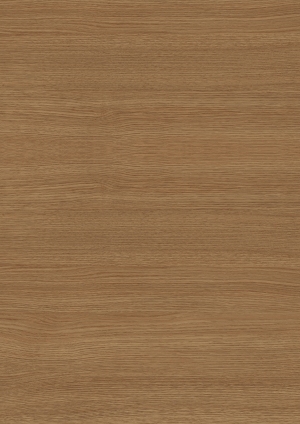 ModernWood Texture