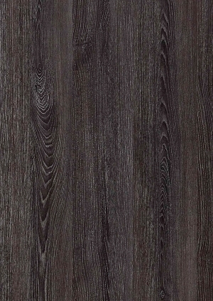 ModernWood Texture