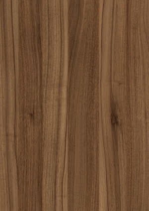ModernWood Texture