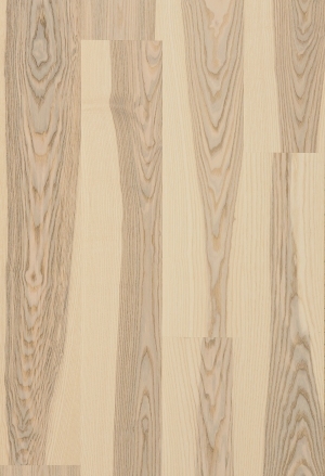 ModernWood Texture