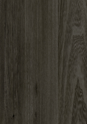 ModernWood Texture