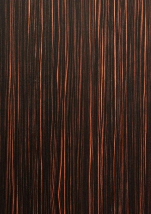 ModernWood Texture
