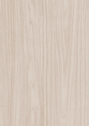 ModernWood Texture