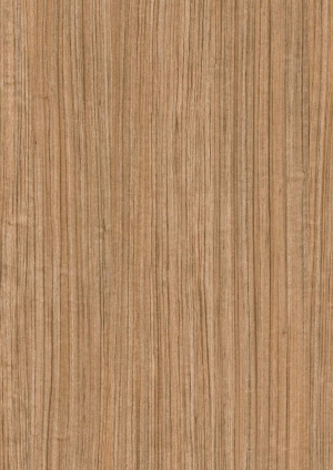 ModernWood Texture