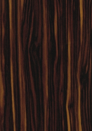 ModernWood Texture