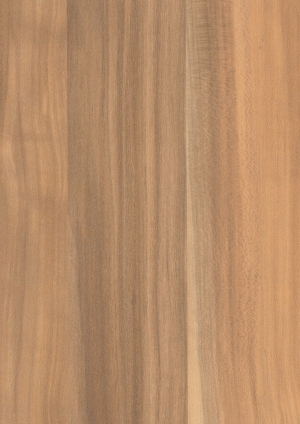 ModernWood Texture