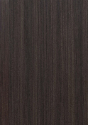 ModernWood Texture