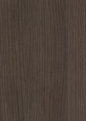 ModernWood Texture