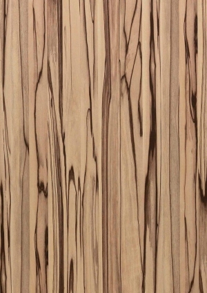 ModernWood Texture