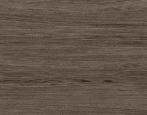 ModernWood Texture