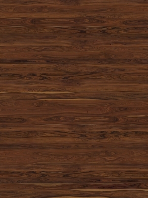 ModernWood Texture
