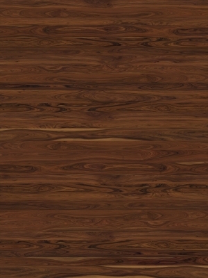 ModernWood Texture