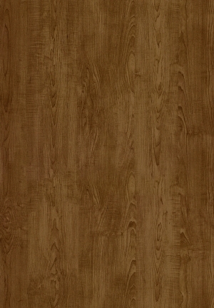 ModernWood Texture