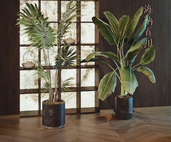 Modern Ground Green Plant Potted Plants-ID:218038085