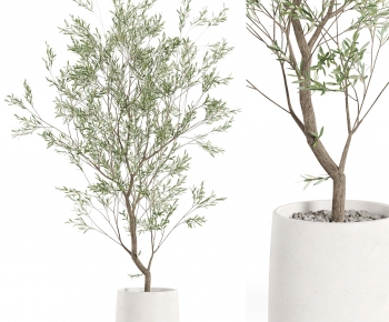 Modern Ground Green Plant Potted Plants-ID:555424934