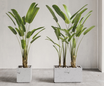 Modern Ground Green Plant Potted Plants-ID:399352079