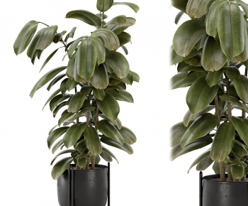 Modern Ground Green Plant Potted Plants-ID:793628931