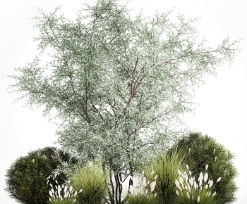 Modern Plant Pile-ID:807418869