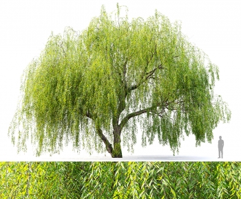 Modern Tree-ID:827861074