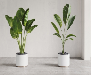 Modern Ground Green Plant Potted Plants-ID:470608955