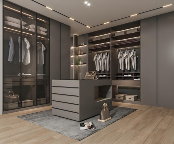 Modern Clothes Storage Area-ID:714267021