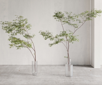 Modern Ground Green Plant Potted Plants-ID:248995076