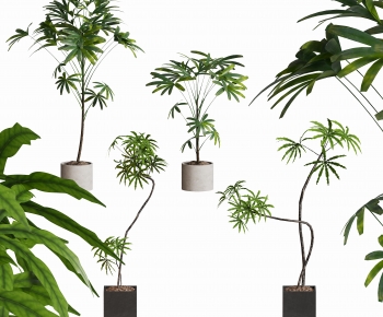 Modern Ground Green Plant Potted Plants-ID:638447053