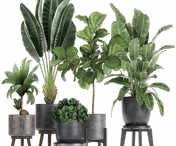 Modern Ground Green Plant Potted Plants-ID:867533929