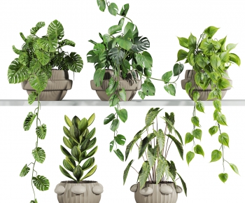 Modern Potted Green Plant-ID:304384953