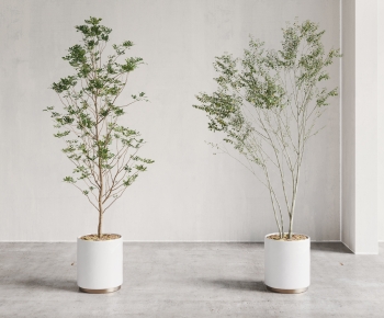 Modern Ground Green Plant Potted Plants-ID:138295896