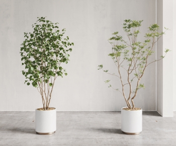 Modern Ground Green Plant Potted Plants-ID:952872041