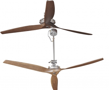 Modern Fan-ID:443552025