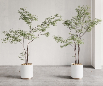 Modern Ground Green Plant Potted Plants-ID:511292931