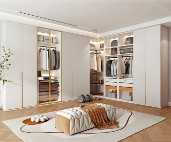 Modern Clothes Storage Area-ID:511487011