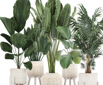 Modern Ground Green Plant Potted Plants-ID:101445919