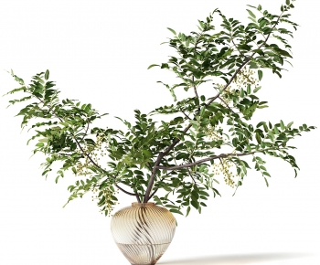 Modern Aquatic Green Plant-ID:190410692