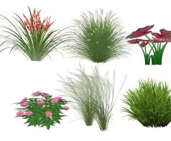 Modern Flowers And Grass-ID:727185961