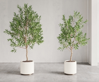 Modern Ground Green Plant Potted Plants-ID:363372096