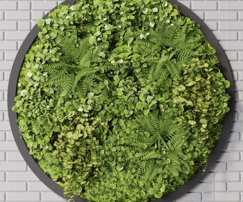 Modern Plant Wall-ID:675811057