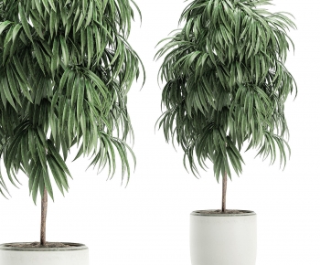 Modern Ground Green Plant Potted Plants-ID:441113951