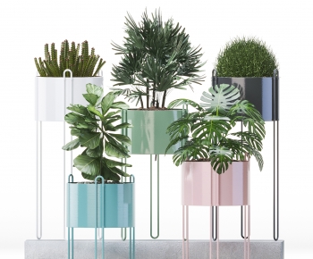 Modern Potted Green Plant-ID:861819989