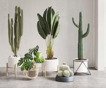 Modern Ground Green Plant Potted Plants-ID:393522981