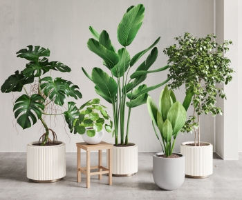 Modern Ground Green Plant Potted Plants-ID:210880997