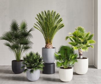 Modern Ground Green Plant Potted Plants-ID:419222128