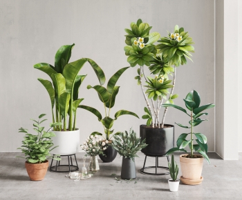 Modern Potted Green Plant-ID:274411928
