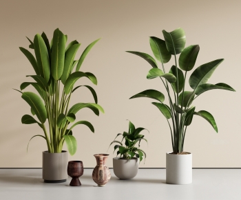 Modern Ground Green Plant Potted Plants-ID:257903107