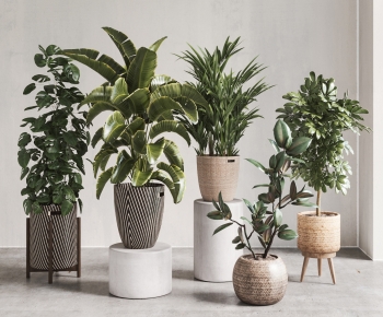Modern Potted Green Plant-ID:671617031